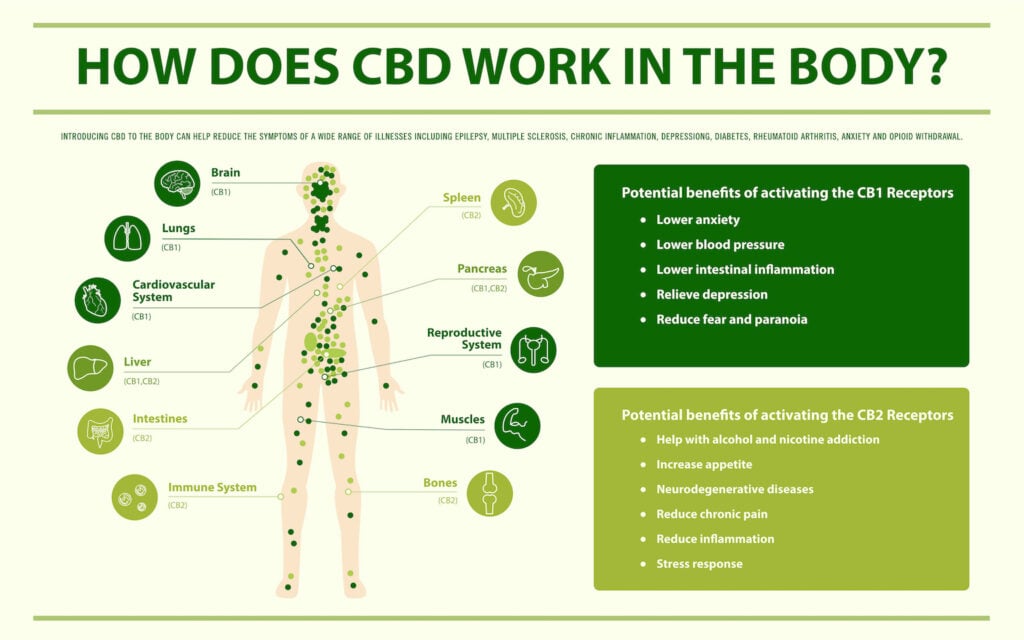cbd ucinky